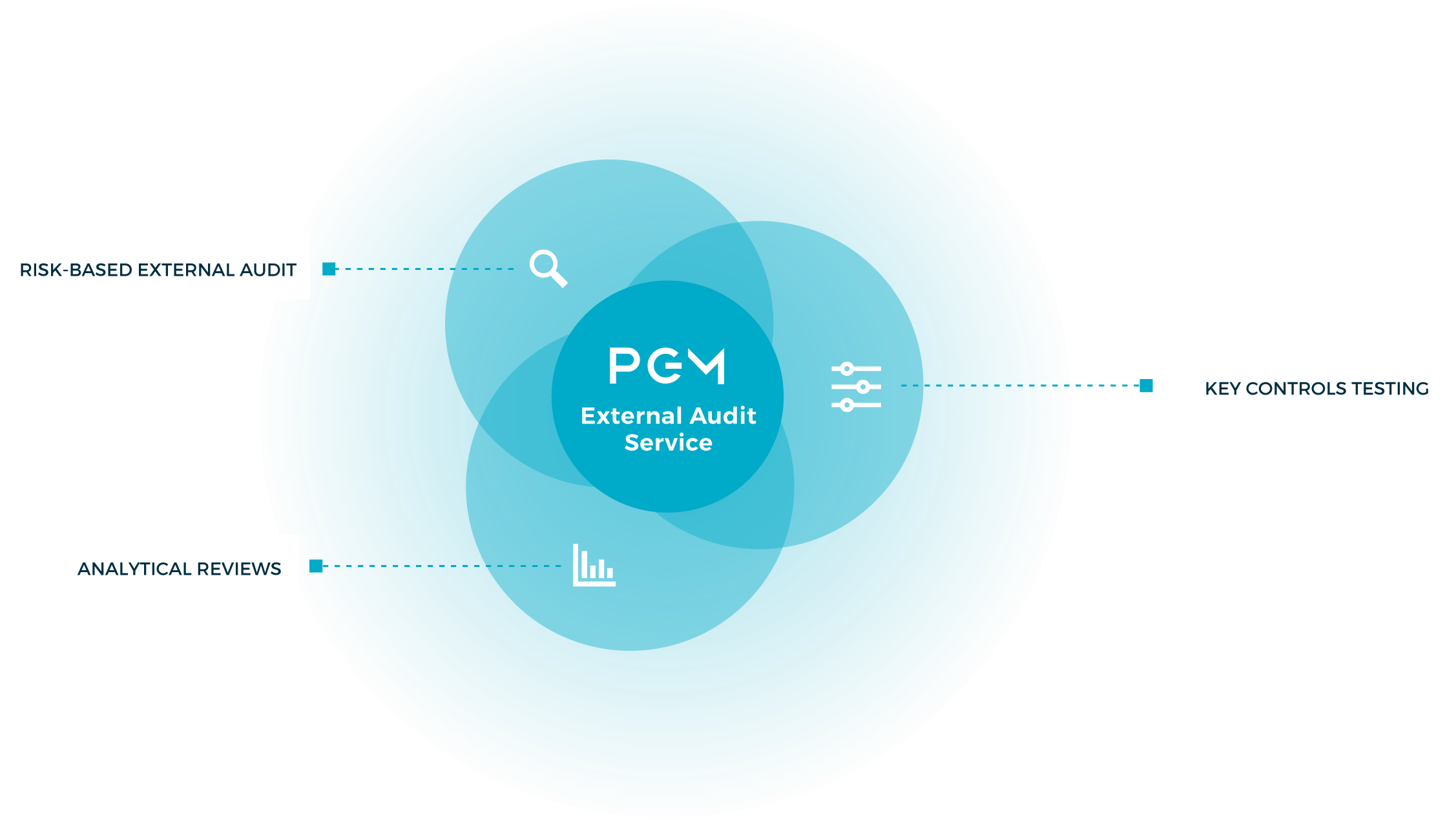 PGM External Audit Service - Risk Based Internal Audit - Analytic Reviews - Key controls testing