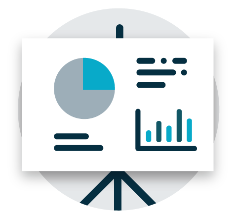 Discuss audit plan and scope of assignment